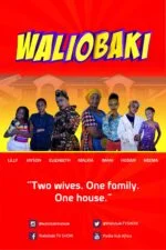 Waliobaki (TV series) poster